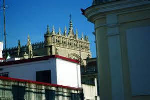 Living Catedral